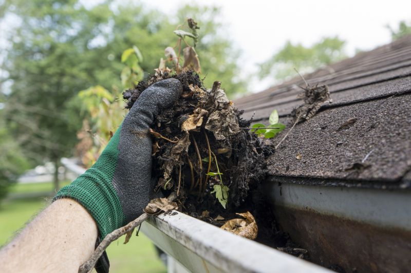 Clean Gutters with No Debris